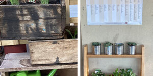 Garden grant winners to grow healthy futures