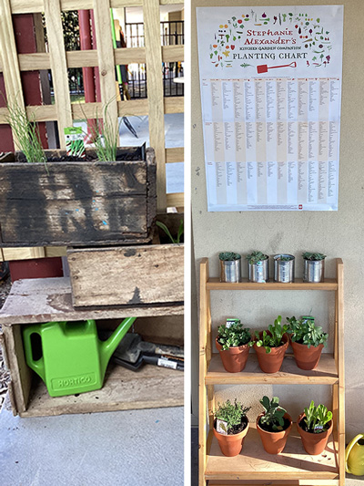 planter boxes and shelving with plant pots containing herbs
