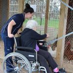 Illoura staff member showing an elderly resident in a wheelchair the chickens